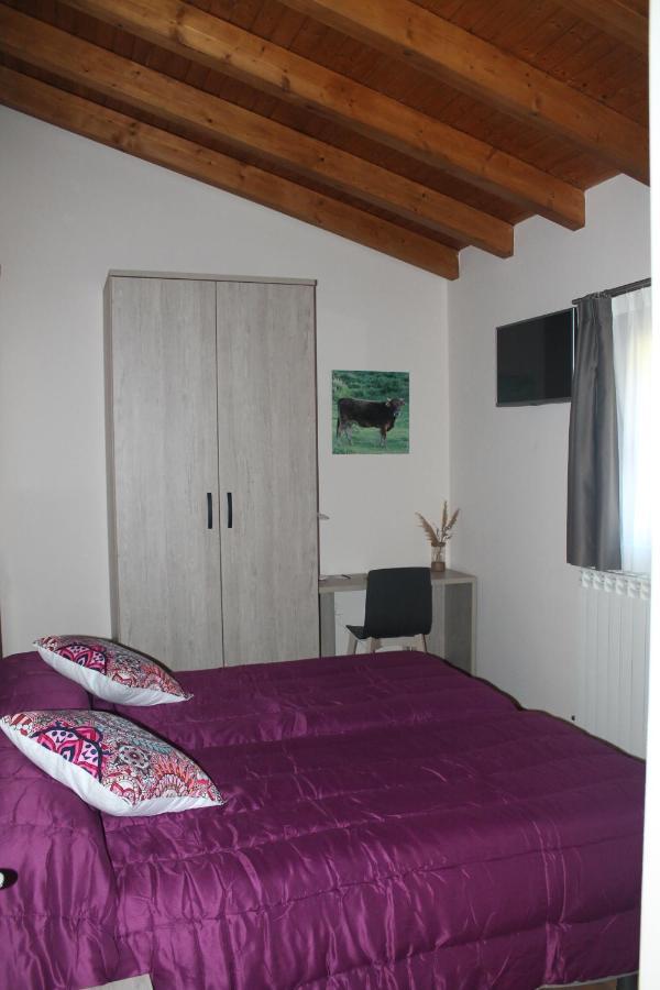 Hotel Rural Rio Molinar Ranera Екстериор снимка
